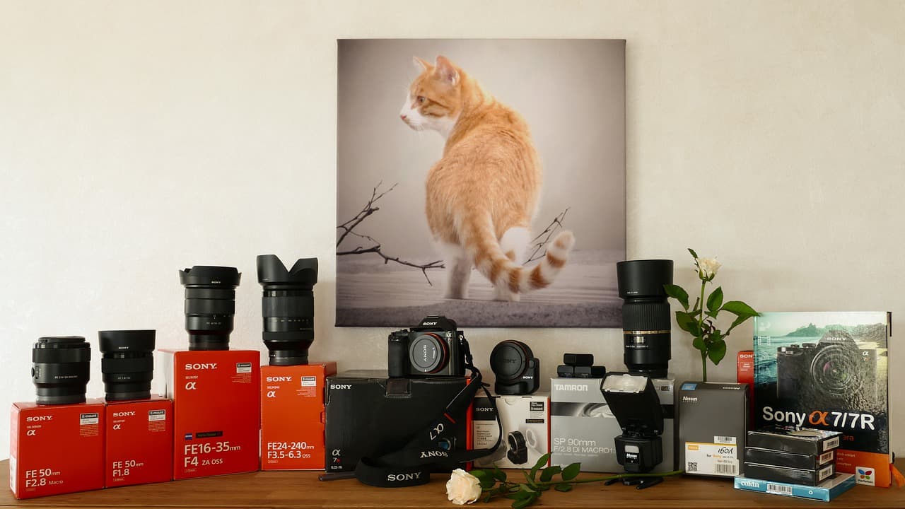 Capturing Moments on Film: Exploring the Fascinating World of Movies About Photography
